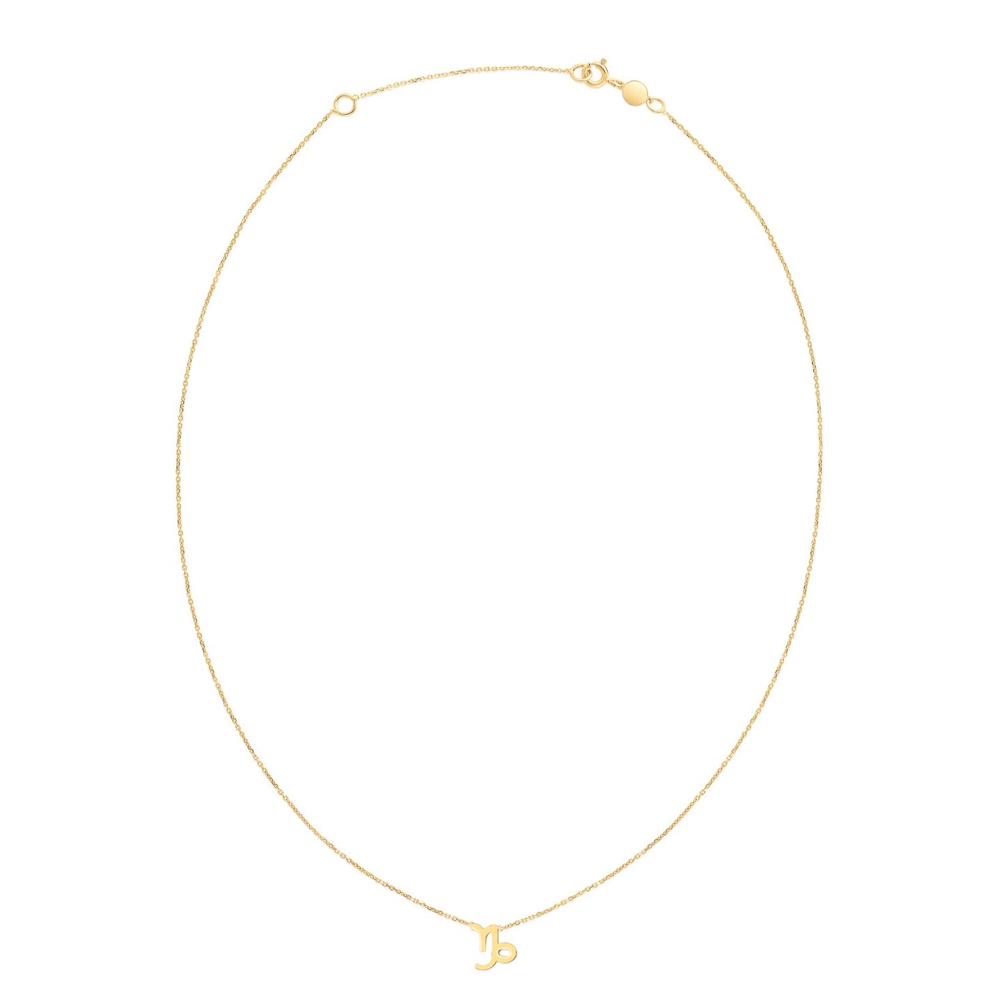 14K Yellow Gold Capricorn Necklace